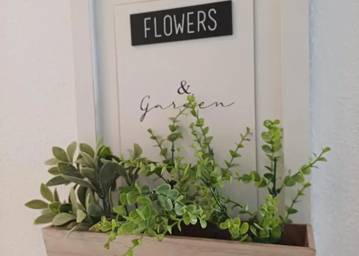 Playa Del Acequion Apartament Torrevieja